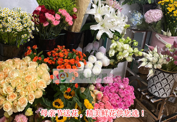 2024银川母亲节送花,银川精美鲜花供您选!